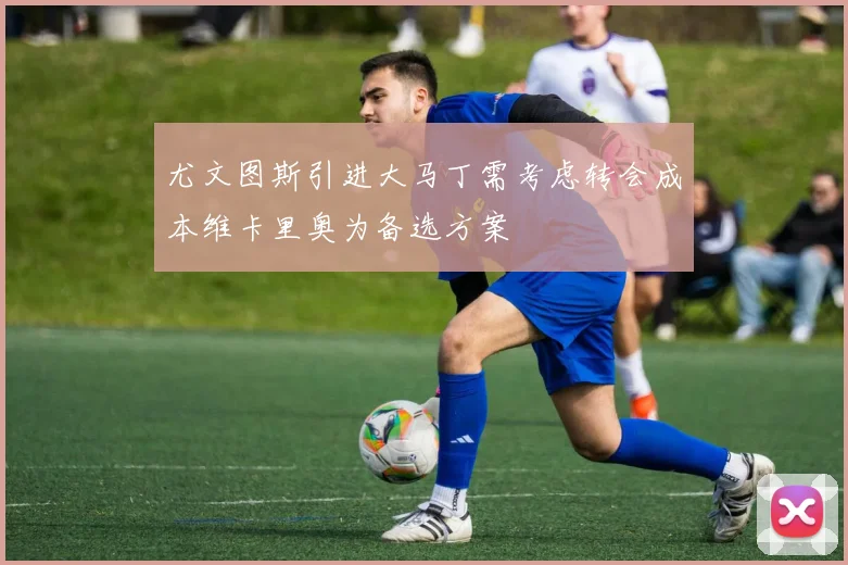 尤文图斯引进大马丁需考虑转会成本维卡里奥为备选方案