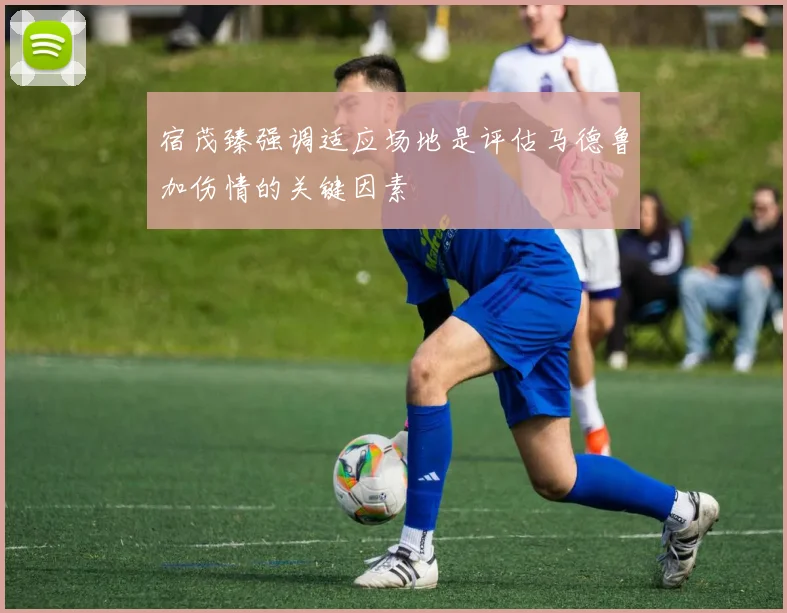 宿茂臻强调适应场地是评估马德鲁加伤情的关键因素