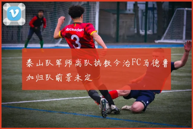 泰山队军师离队执教今治FC马德鲁加归队前景未定