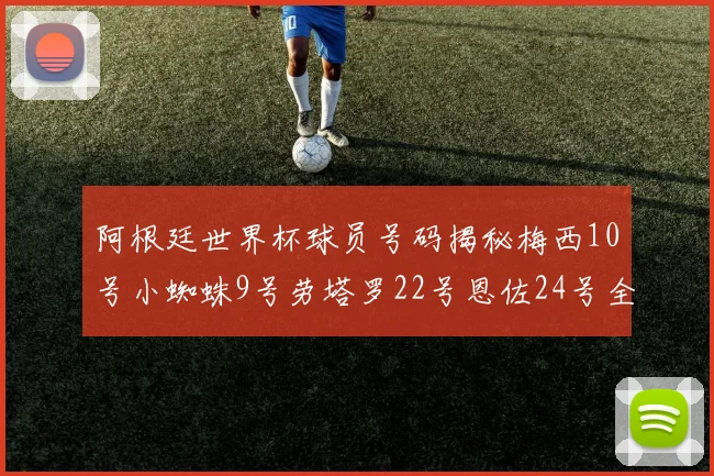 阿根廷世界杯球员号码揭秘梅西10号小蜘蛛9号劳塔罗22号恩佐24号全解析