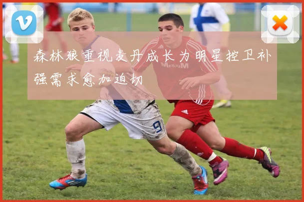森林狼重视麦丹成长为明星控卫补强需求愈加迫切